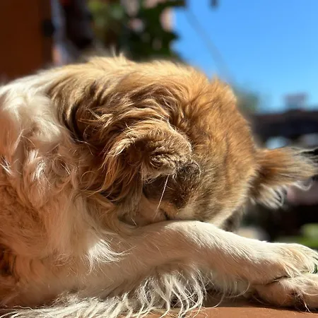 три-о, будинок 120 кв для 1-6 гостей & 45 кв для 1-4 гостей, генератор, окремі входи, вид на гори, 15 хв до центру Lejlighed