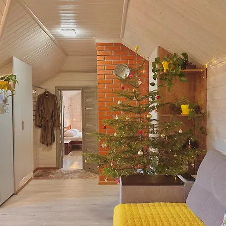 три-о, будинок 120 кв для 1-6 гостей & 45 кв для 1-4 гостей, генератор, окремі входи, вид на гори, 15 хв до центру Apartamento Slavske